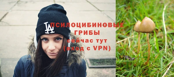 гашишное масло Аркадак