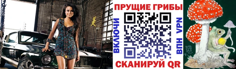 Псилоцибиновые грибы мицелий продажа наркотиков Пугачёв